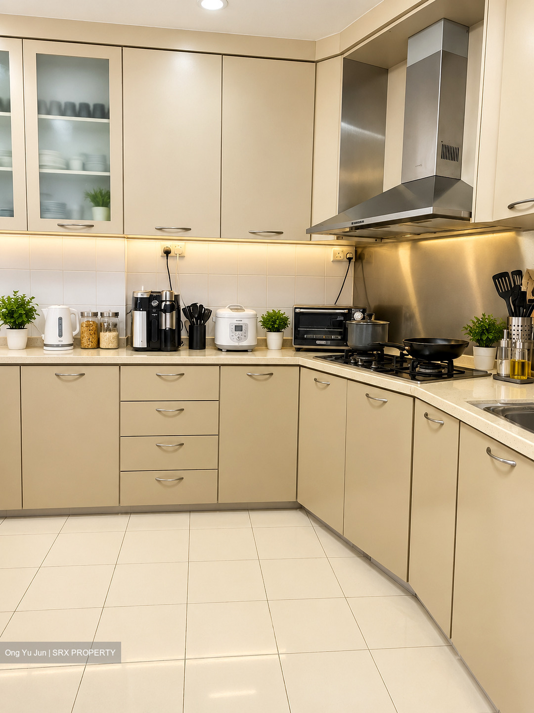 Blk 521 Pangshan Valley (Bukit Panjang), HDB Executive #621739181